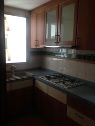 The Rivervale (D19), Condominium #561975931
